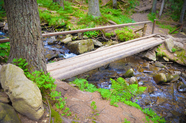 Rustic wooden bridge at forest with mountain river