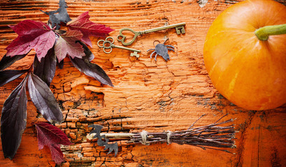 halloween decoration on orange wooden background