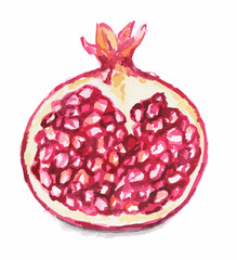Isolated watercolor garnet on white background. Ripe and juicy fruit with vitamins.