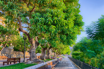 View on the park with exotic trees Mediterranean balcony in Tarragona, Spain