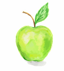 Isolated watercolor green apple on white background. Sweet or sour fruit with vitamins.