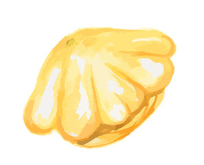 Naklejka na ściany i meble Isolated watercolor squash on white background. Healthy and fresh vegetable with vitamins.