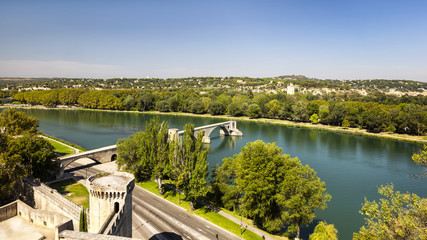 Bridge of Avignon and green trees
