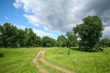 dirt road in the woods