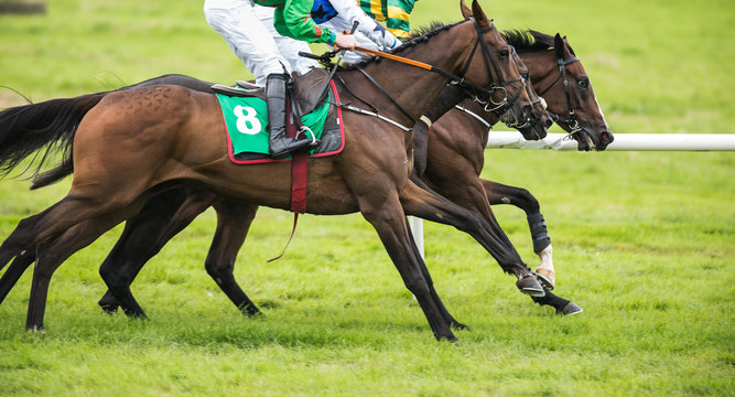 Two race horses and jockeys competing for position on the track