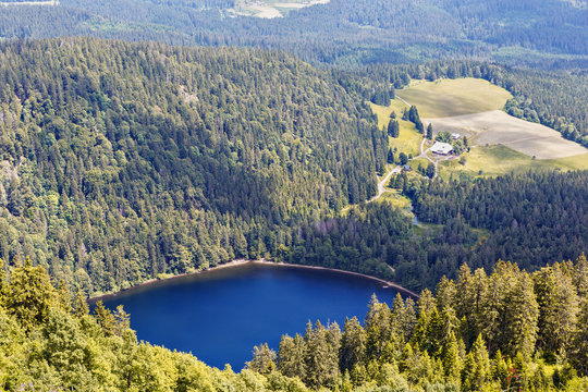 View of the mountain lake Feldsee.Black Forest.Germany.