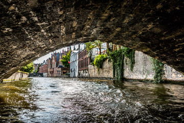 Fototapeta na wymiar Le long des canaux de Bruges la Venise du nord