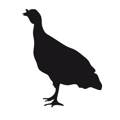 Black silhouette of a Turkey.