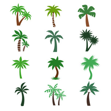 Color palm trees vector silhouettes