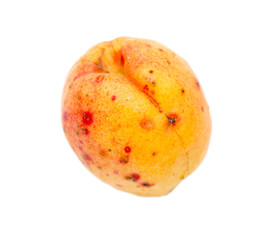 yellow apricots on a white background