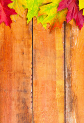 Naklejka na ściany i meble Autumn leaves over wooden background