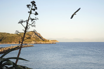 Fototapeta premium Headland