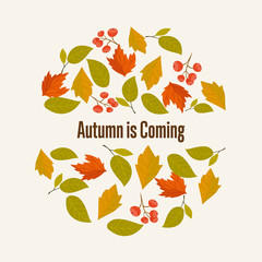Autumn leaves fall on background vector illustration.