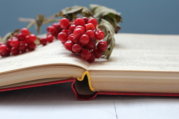 Открытая книга