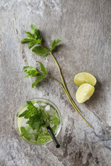 Glass tank mojito and Ingredients for cocktails. Fresh mint, lim