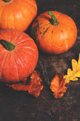 Autumn Fall background with pumpkins and  golden  leaves on rust