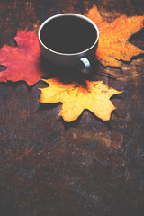 Autumn Fall Background  with maple leaves and cup of black coffe