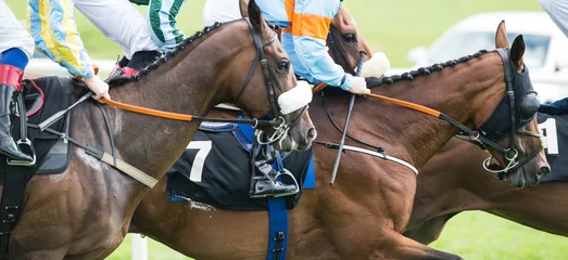 Crédence de cuisine en verre imprimé Léquitation Race horses and jockeys galloping on the track