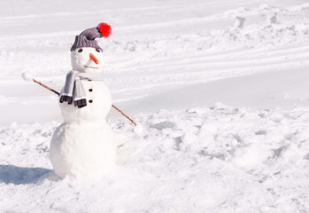 Beautiful snowman with hat and scarf 