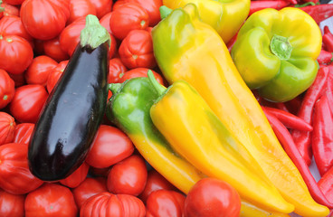 composition of vegetables