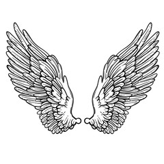 Line art illustration of angel wings. Hand drawn vector card. Sketch for dotwork tattoo, hipster t-shirt design, vintage style posters. Coloring book for kids and adults.