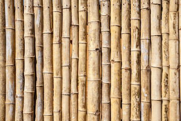bamboo wall