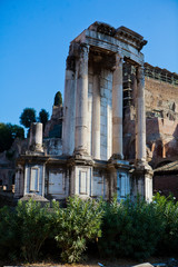 Obraz premium White ancient ruins hangs over the greenery