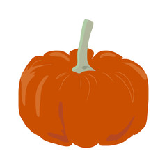 Isolated pumpkin on a white background. Pumpkin made in a cartoon style.