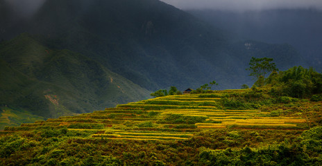 Beautiful sunset in Viet Nam mountains with rice terraces