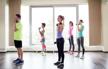 Fototapeta premium group of smiling people exercising with dumbbells