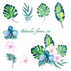 Watercolor floral set for your design. - 121135520
