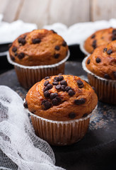 Homemade chocolate chip spicy muffins cake for breakfast