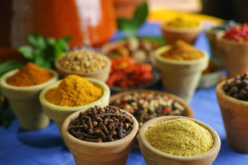 Collection of different spices in old clay bowls in colorful oriental style