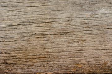 Old wood background
