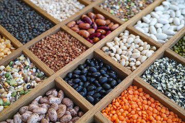 Collection assorted of lentils, beans, peas, grain, groats, soybeans