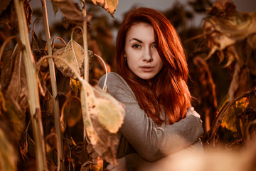 young woman portrait at dry sunflowers