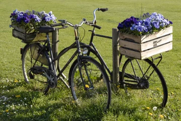 Gordijnen 2 zwarte fietsen met kratten bloemen © Carmela