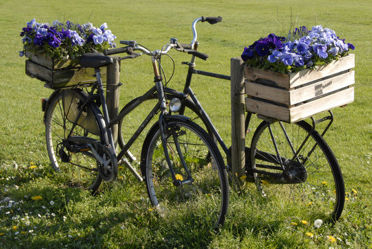 2 zwarte fietsen met kratten bloemen