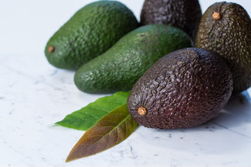 Green ripe avocado