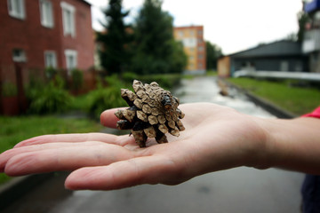 Междуреченск