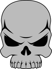  Human skull black and white