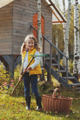 happy child girl playing little gardener in autumn and picking leaves into basket. Seasonal garden...