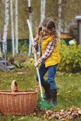 happy child girl playing little gardener in autumn and picking leaves into basket. Seasonal garden...