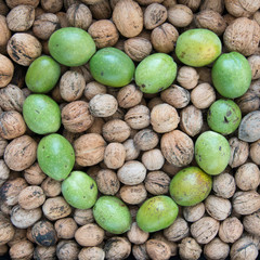 Ripe and unripe walnuts