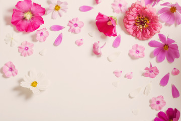 flowers on paper  background