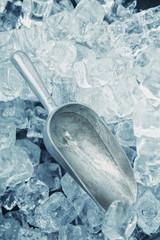 The aluminum scoop and large ice