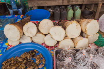 Fresh bamboo shoots for sale at local food market at Udornthani