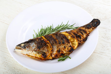 grilled trout