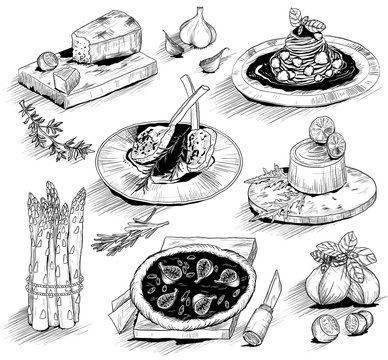 hand drawn illustration with Italian food