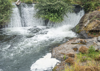 Naklejka premium Tumwater Falls Section 6